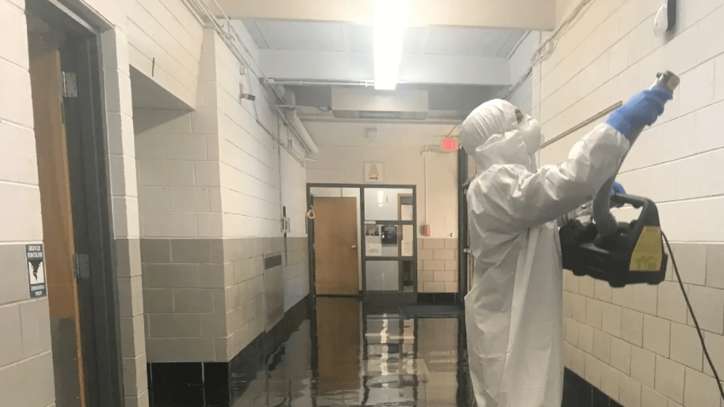 Commercial Mold Remediation Specialist