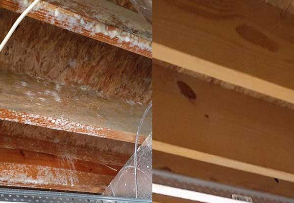 crawl space mold remediation and removal services before and after image